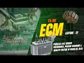 L12 | Resonance in Parallel RLC | Phasor Diagram | Quality Factor | ECM | TU-IOE