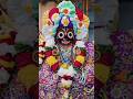 Jay Jagannath ji🌺🙏#Lordjagannath#Jagannath#Shorts