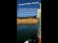 August Bass Fishing Tips #26