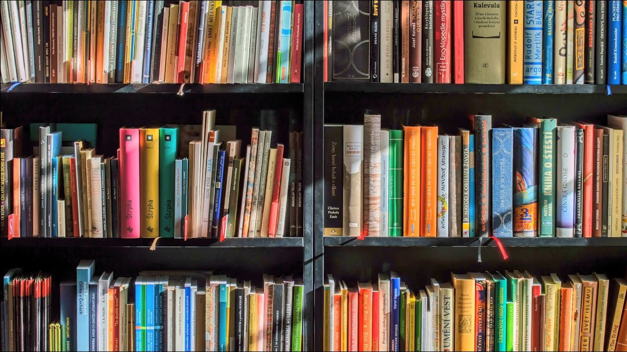 BOOKSHELVES SCREENSAVER | 4K WALLPAPER