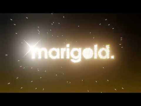 Random Marigold Logo - dk what to use this for
