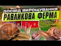 РАВЛИКОВА ФЕРМА В УКРАЇНІ. Досвід вирощування з найкращим КОКОСОВИМ СУБСТРАТОМ виробництва ТД Кіссон