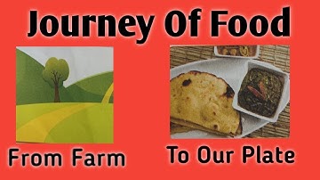 Journey Of Food | How Food Comes From Farm To Our Plate | How Do We Get Our Food
