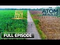 The atom araullo specials dreams of gold  full episode