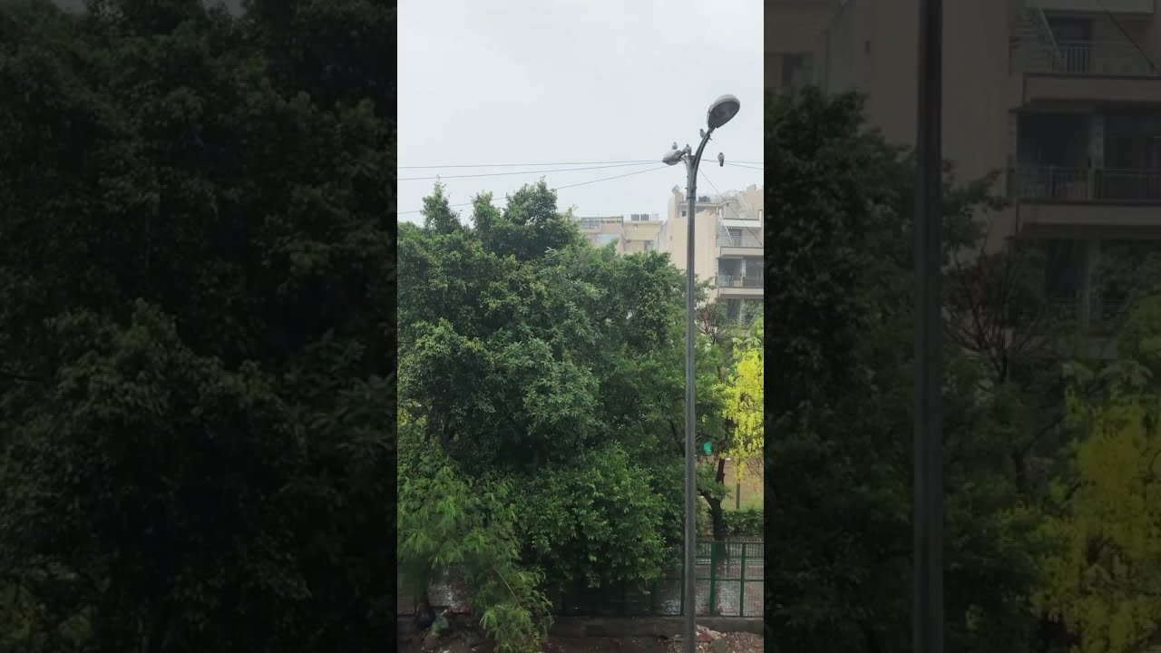 Rainy Morning StatusRain WhatsApp StatusNature WhatsApp StatusRain Status delhi rain