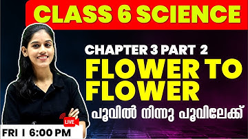 Class 6 Basic Science | Flower to Flower | പൂവിൽ നിന്നു പൂവിലേക്ക് Part 2 | Chapter 3 | Exam Winner