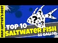 Top 10 Saltwater Fish for a 55 Gallon Reef Tank