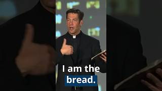 Biblical PROOF The Eucharist is More Than a Symbol | Fr. Mike Schmitz