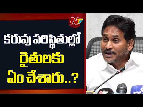 రైతులు నష్టపోతుంటే ప్రభుత్వం ఏం చేస్తోంది..?: YS Jagan | NTV Telugu - NTVTELUGU