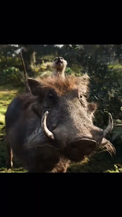 Timon and Pumba bombastic #timon #shorts #bombastic  #pumba