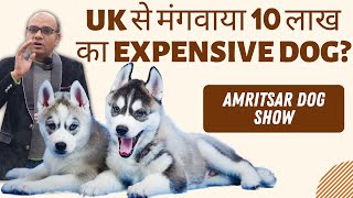 Dog worth 10 Lakhs | Why so expensive? | Amritsar Dog Show | Baadal Bhandaari