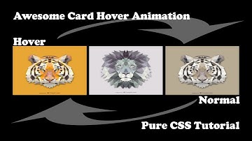 CSS Card Hover Animation (3D) - Pure CSS Tutorials|Web Tutorials