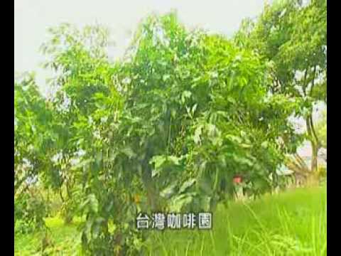 嘉義農場生態渡假玩國簡介
