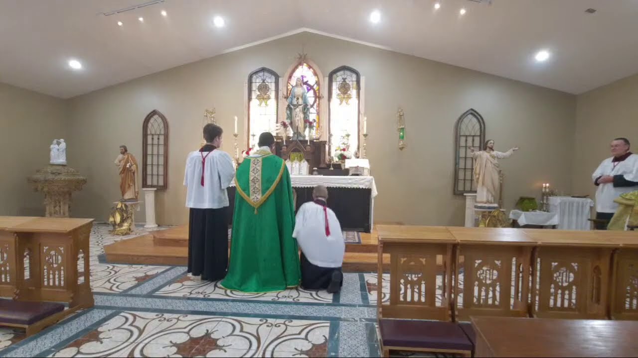 Latin High Mass Live Stream- 14th Sunday After Pentecost