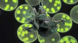 Microscopic Monsters Teaser Clip 1