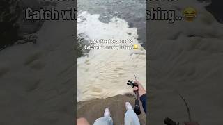 Glide bait was bigger than him😂😂 #fishing  #musky #muskyfishing #riverfishing #bigfish
