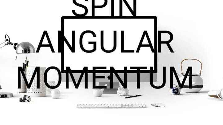 SPIN ANGULAR MOMENTUM IN QUANTUM II