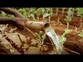 Lasting Water in Kenya