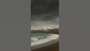 سورة الزمر للشيخ #يوسف الصقير   #قرآن  #quran #اكسبلور  #اكسبلور #راحة_نفسية #حالات_واتس #اكسبلور