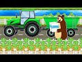 The Bear Farm: Harvest Beet Sugar and Tractor Driving to the Sugar Factory | Vehicles Farm Animated DEFAULT