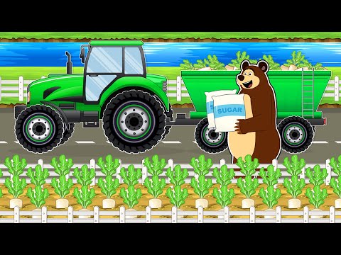 The Bear Farm: Harvest Beet Sugar and Tractor Driving to the Sugar Factory | Vehicles Farm Animated HQ