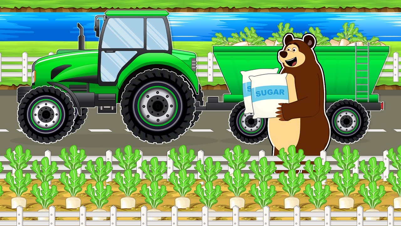 The Bear Farm: Harvest Beet Sugar and Tractor Driving to the Sugar Factory | Vehicles Farm Animated MAX