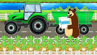 The Bear Farm: Harvest Beet Sugar and Tractor Driving to the Sugar Factory | Vehicles Farm Animated MQ