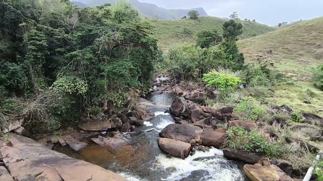 Um Tesouro Escondido na Roça”