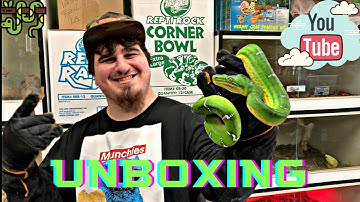 My Best Unboxing....EVER!!!!! (EMERALD TREE BOA!!)