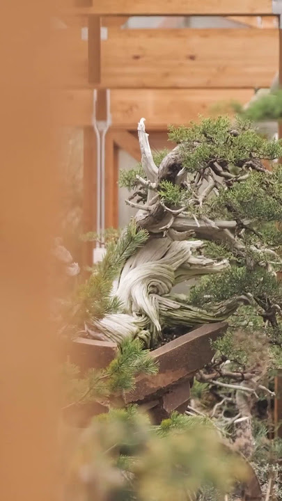 Greenhouse evolution. #shorts