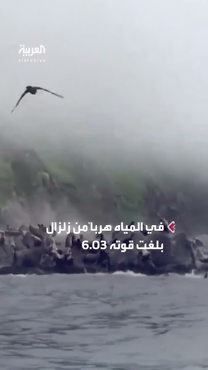              
 - نشر قبل 29 دقيقة