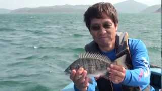 MARUKYU   Taro Yamamoto takes on bream fishing in Hong Kong!