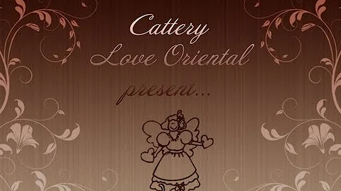 Video 2245111: love cattery, kitten