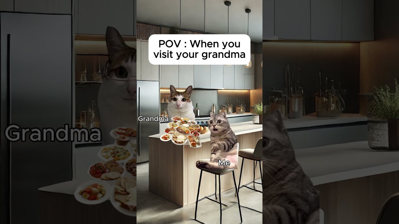 Cat Memes When You Visit Your Grandma Catmemes Relatable Catshorts Shorts