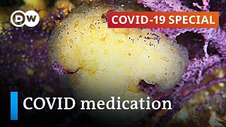 Sidelined by vaccines? What’s the latest research on COVID medication and treatments?