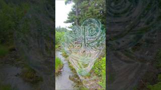 Simulateur De Schizophrénie