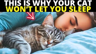 If Your Cat Won’t Let You Sleep at Night, They Are Trying To Tell You This...