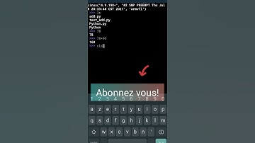 Créer un Terminal plus cool en Python avec rich