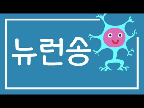 우리 몸 자극 받으면 반응해  |  뉴런송  |  과학송