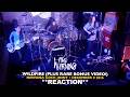 Musicians REACT to The Warning: Wildfire (December 9 2016 Nirvana Rock Joint) PLUS RARE BONUS VIDEO