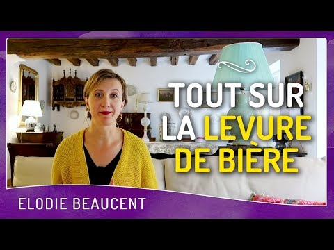 Vidéo: Tout Sur La Levure