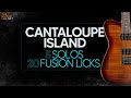 Cantaloup island  20 licks de guitare fusion  theguitarlabnet