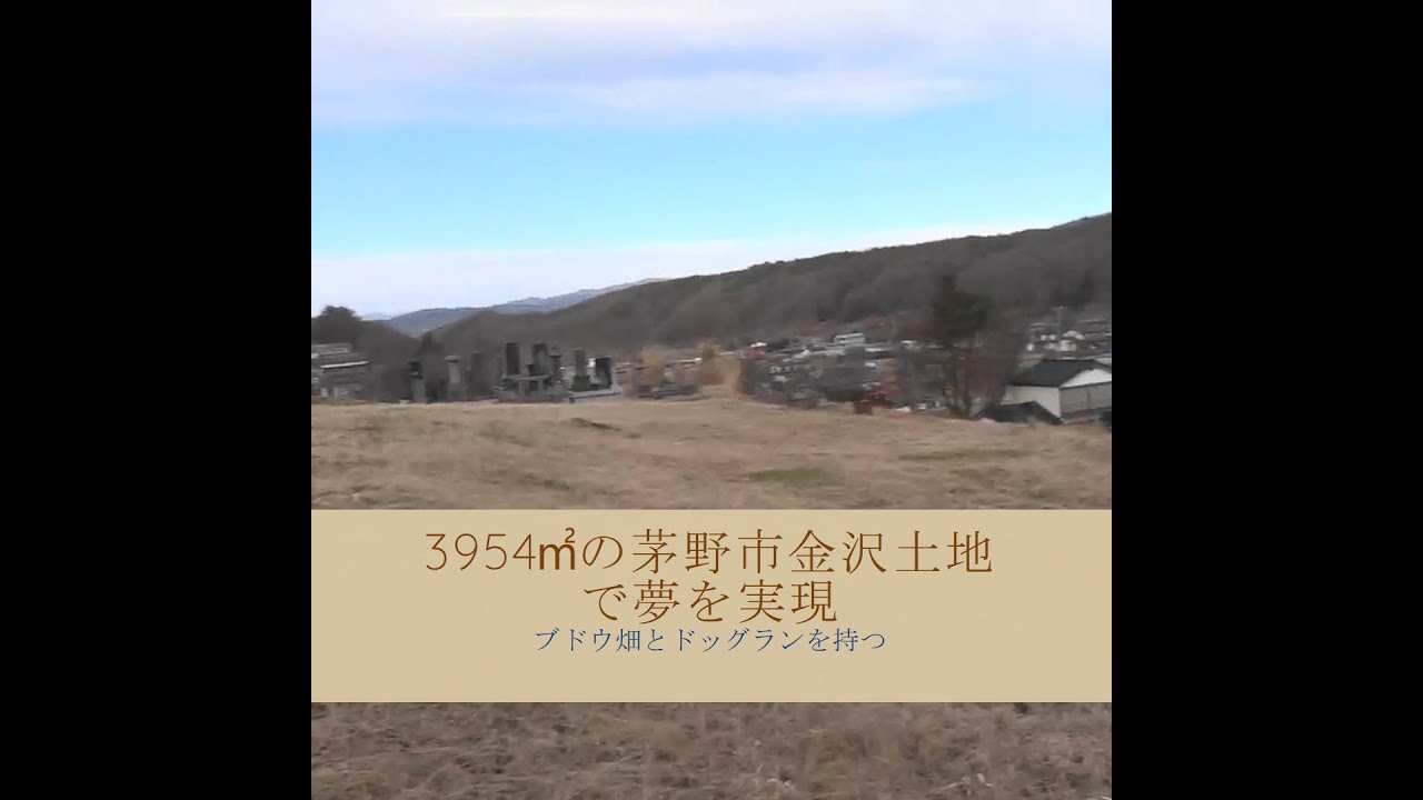 ブドウ畑 借地300坪 そのまま譲ります ブドウ畑 借地300坪 そのまま