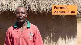 Zambu Zulu farmer Petauke by Jacana Business Empowerment 143 views 6 months ago 3 minutes, 42 seconds