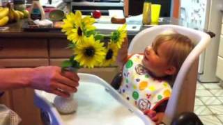 Kaylee says Flower by kleeoak 74,582 views 11 years ago 35 seconds