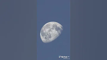 Сенсация! Сегодня на Луне замечено движение каких-то существ!