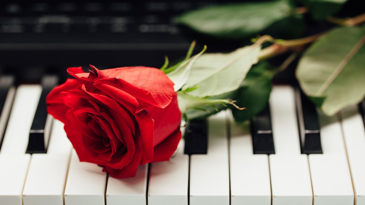 На клавишах тургенева. Пианино с цветами. Цветы на рояле. Цветы на пианино.