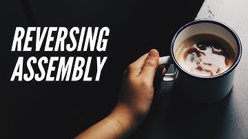 Reversing Assembly - Pwn Zero To Hero 0x01