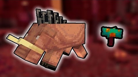 Why Do Hoglins Run Away from Warped Fungus?