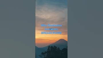 Why Dismissive Avoidants Breadcrumb: 5 Key Reasons